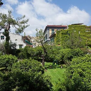 The Bellini House By House In Naples